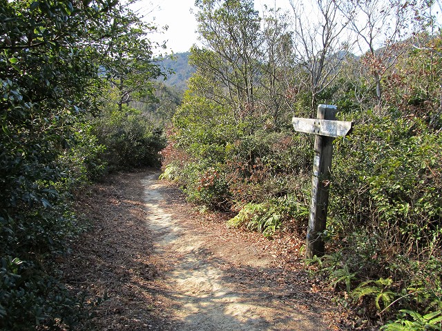 t02_051.jpg