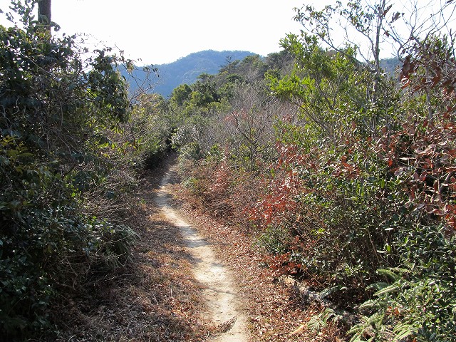 t02_052.jpg