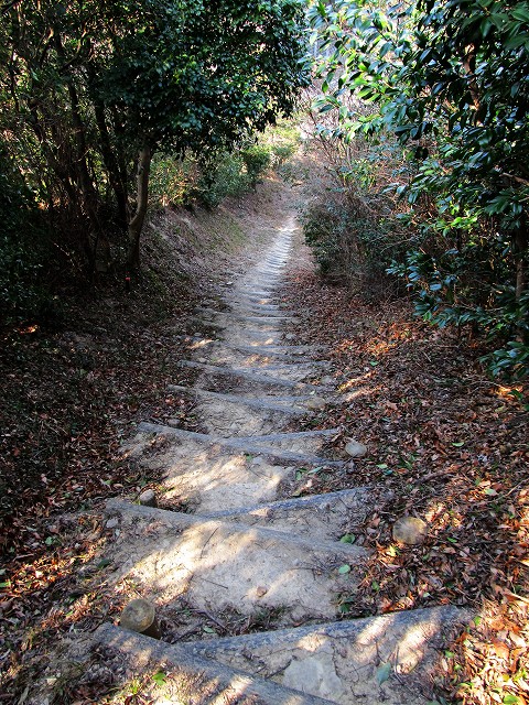 t02_053.jpg