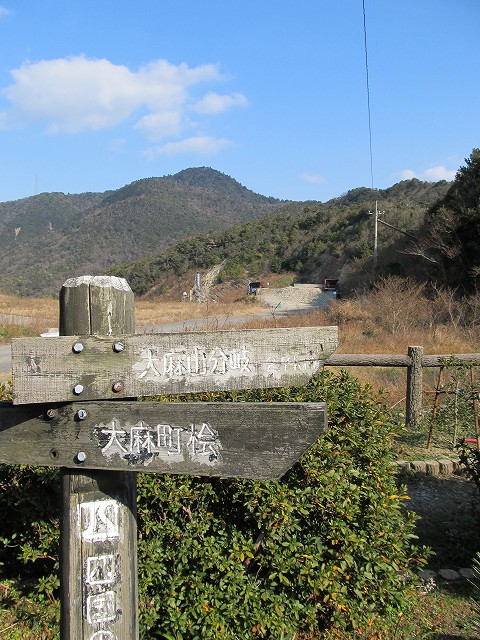 t02_055.jpg