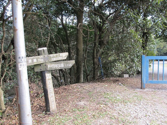 t02_062.jpg