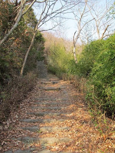 t02_068.jpg