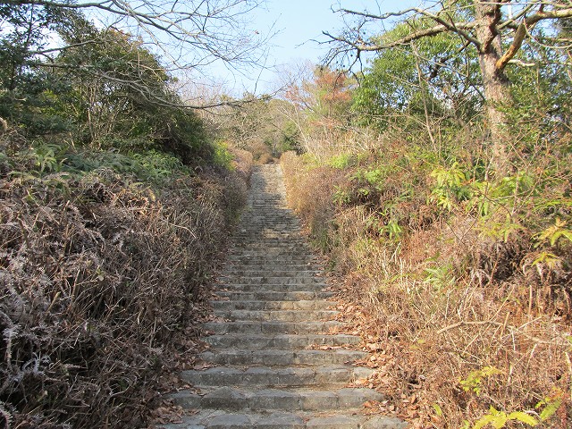 t02_069.jpg