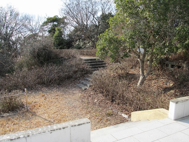 t02_072.jpg