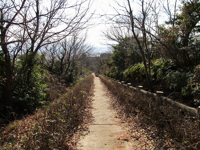 t02_074.jpg