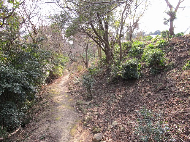 t02_077.jpg