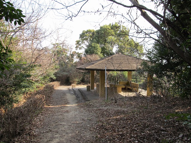 t02_078.jpg