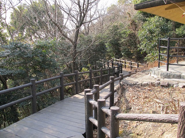 t02_079.jpg