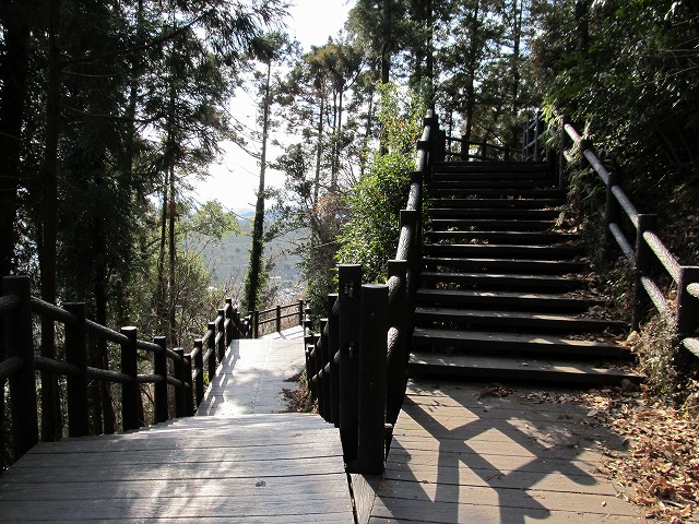 t02_080.jpg