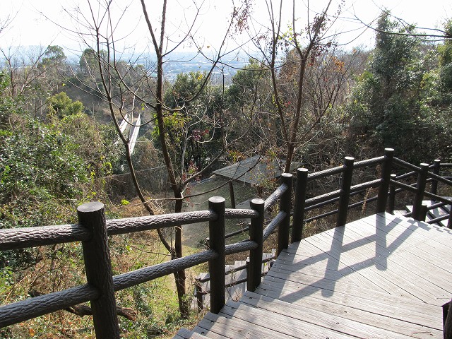 t02_081.jpg