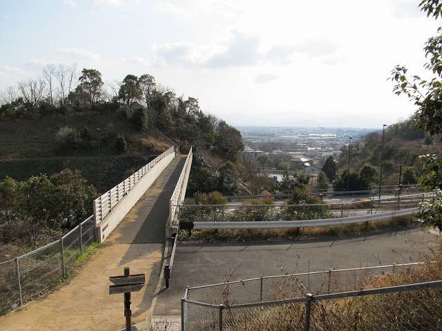 t02_082.jpg