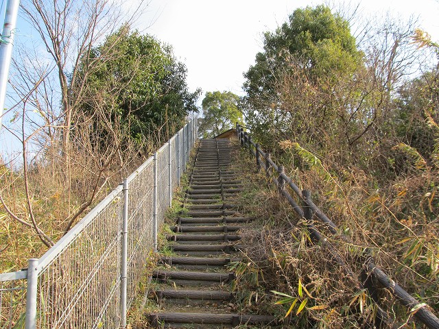 t02_083.jpg