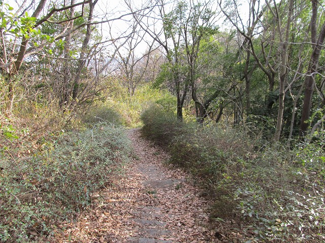 t02_084.jpg
