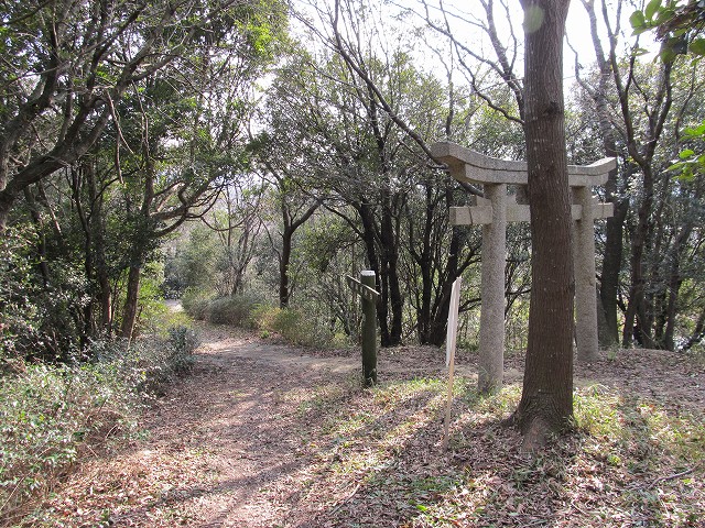 t02_085.jpg
