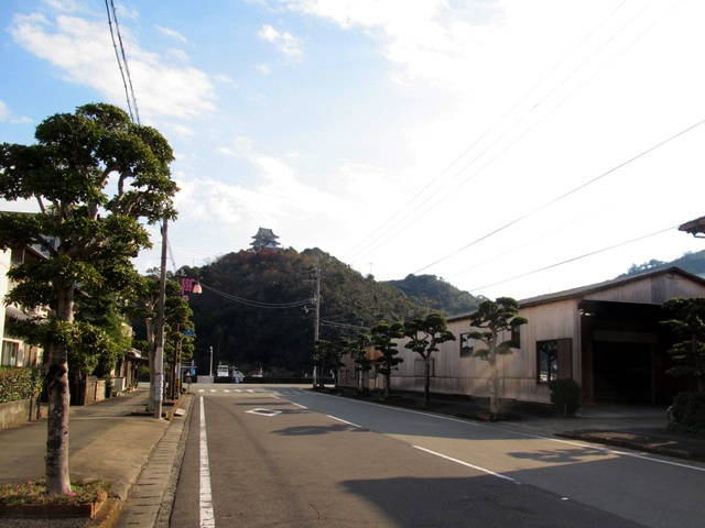 t20_005.jpg