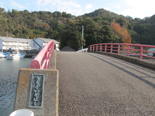 t20_008.jpg