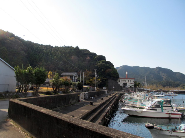 t20_009.jpg