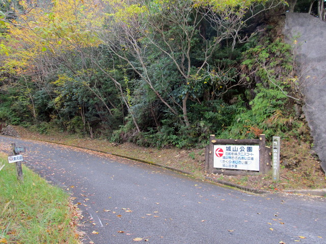 t20_010.jpg
