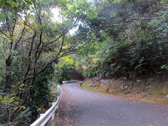 t20_012.jpg