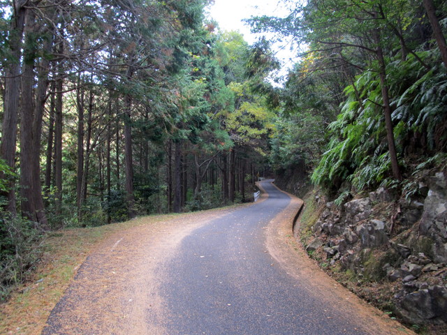 t20_013.jpg