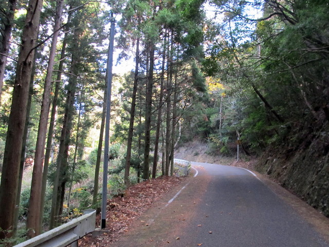 t20_014.jpg