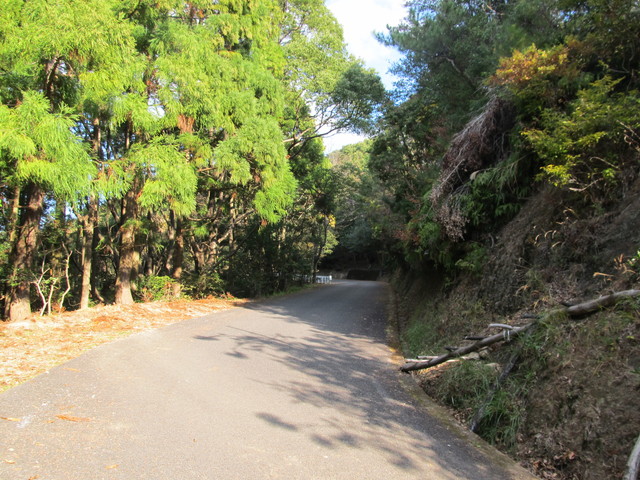 t20_015.jpg