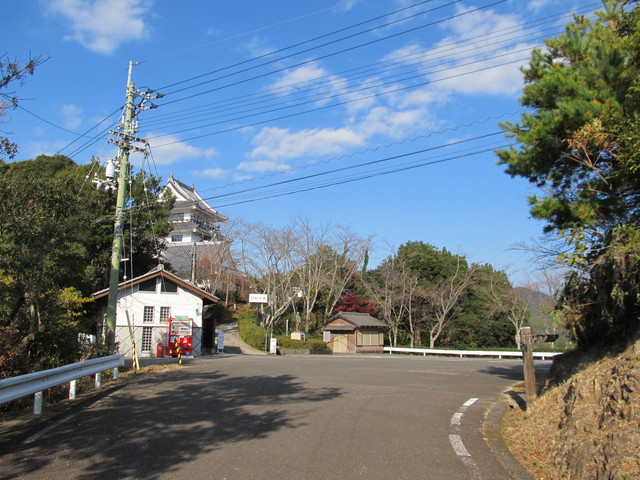 t20_017.jpg