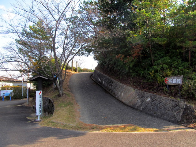 t20_018.jpg