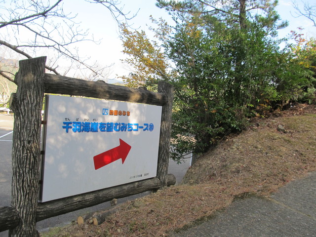 t20_020.jpg