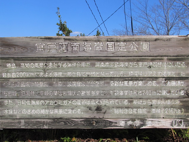 t20_022.jpg