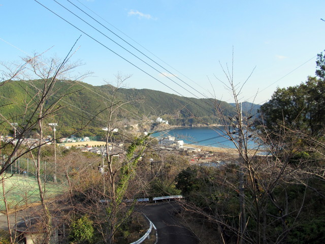 t20_024.jpg