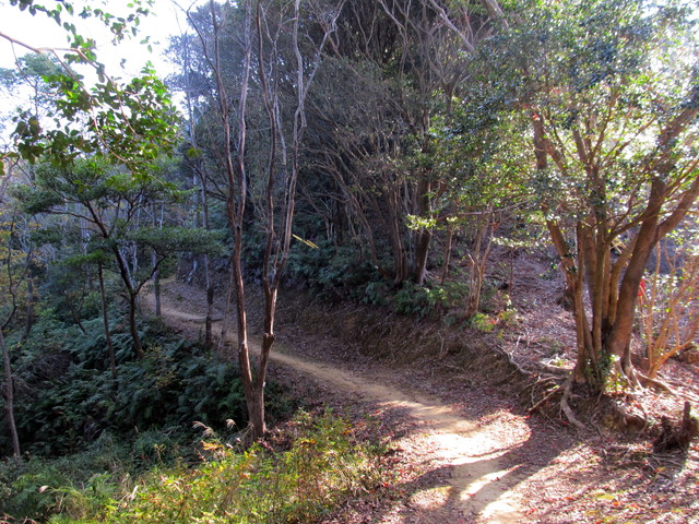 t20_027.jpg