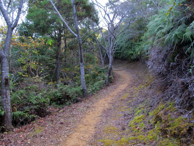 t20_028.jpg