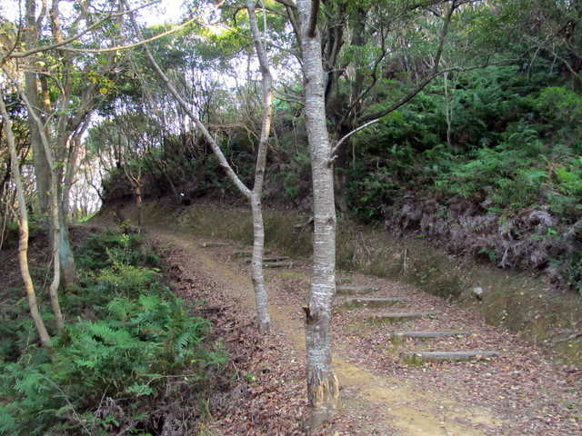t20_029.jpg