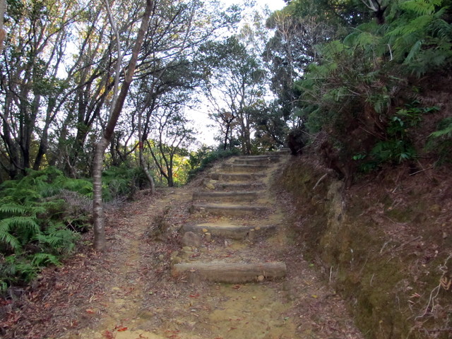 t20_030.jpg
