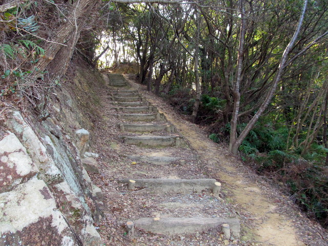 t20_031.jpg