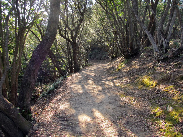 t20_042.jpg