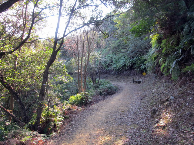 t20_045.jpg