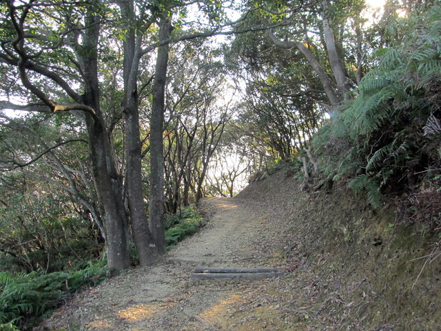 t20_046.jpg