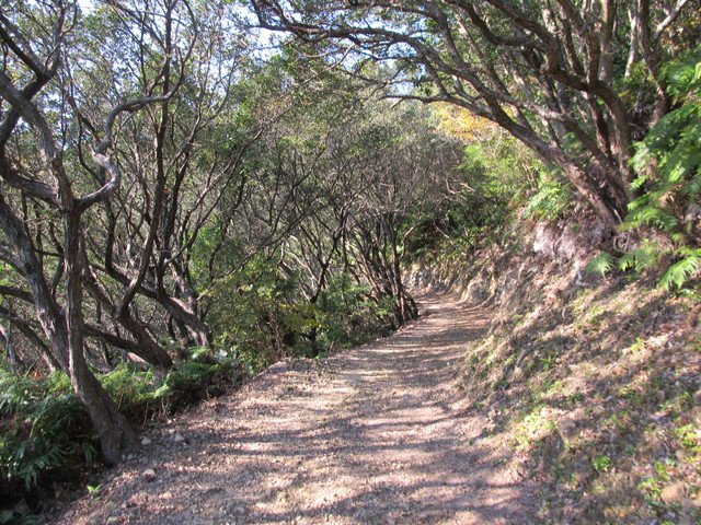 t20_047.jpg
