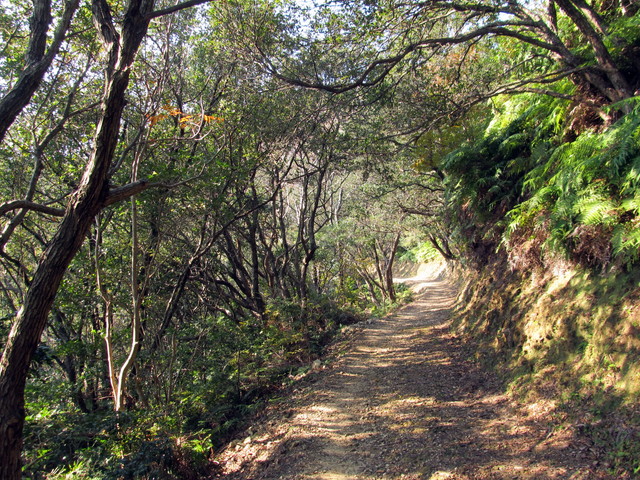 t20_048.jpg