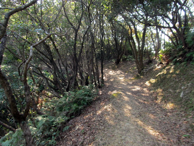 t20_049.jpg
