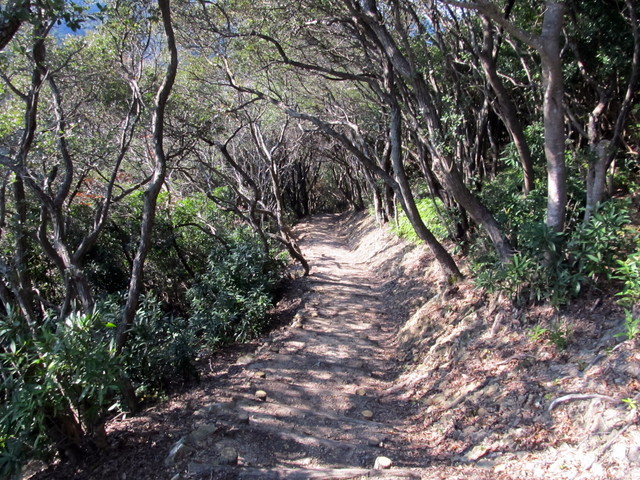 t20_054.jpg