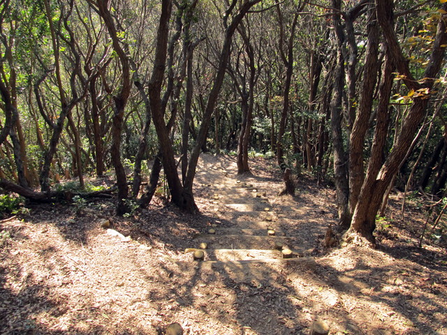 t20_055.jpg