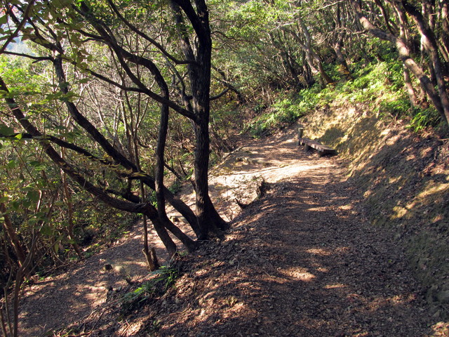 t20_058.jpg