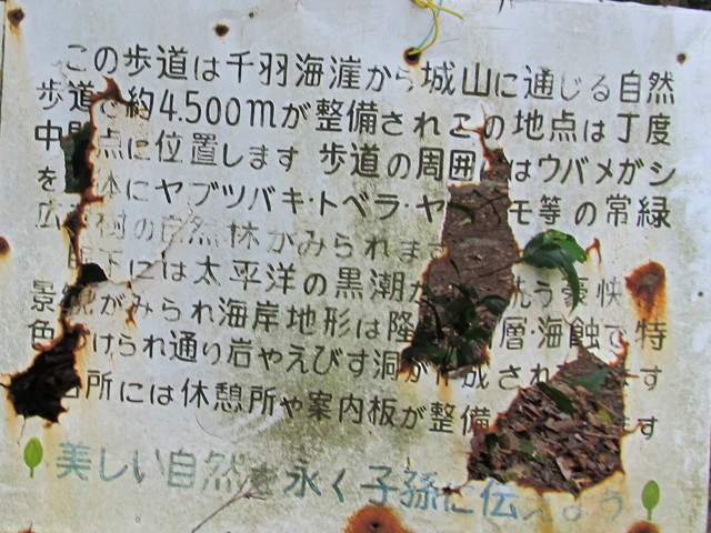 t20_066.jpg