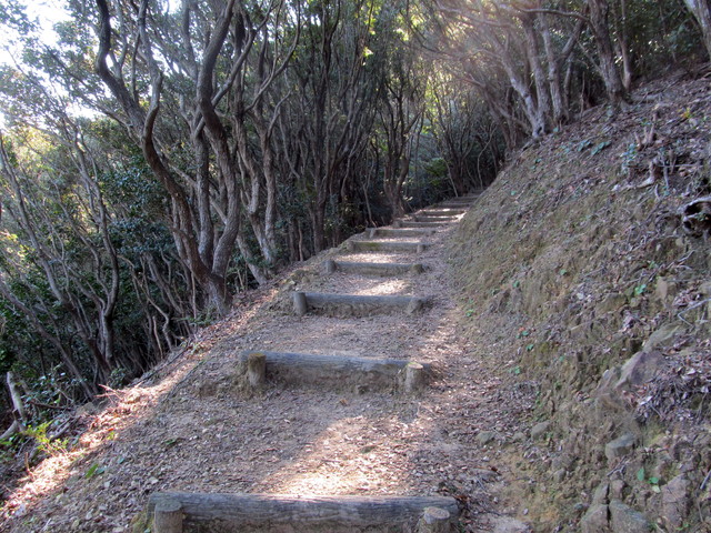 t20_067.jpg
