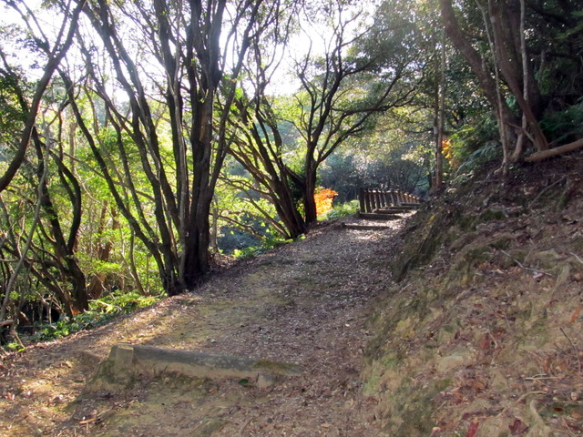 t20_071.jpg