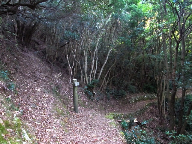 t20_078.jpg