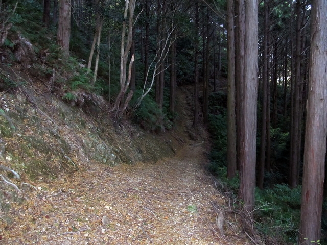 t20_079.jpg